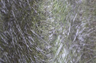 Manningham fibreglass roof work